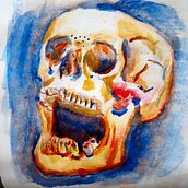 Cráneo en acuarela. Watercolor Painting project by Alvaro Camino - 02.28.2021