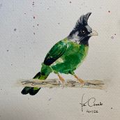 Meu projeto do curso: Técnicas expressivas de aquarela para ilustração de pássaros. Watercolor Painting project by Fabíola Camilo - 02.28.2021
