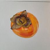 My first watercolor fruit.. Ilustração botânica projeto de maryna0506 - 28.02.2021