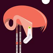 Flamenco. Graphic Design, and Digital Illustration project by Macarena Estevez - 03.02.2021