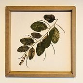Meu projeto do curso: Técnicas básicas para prensar flores e plantas. Artes plásticas projeto de Diego Americo - 01.03.2021