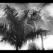 Mi Proyecto del curso: Introducción a la dirección de fotografía cinematográfica. Film, Video, and TV project by Matias Ferreyra - 02.03.2021