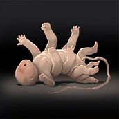  La Cabeza de Goya (video game) - Characters & creatures.. Concept Art, Game Design, and Digital Illustration project by Tomeu Riera - 11.01.2020