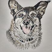Friends Dog Watercolor. Watercolor Painting project by dinyokkerse - 03.01.2021