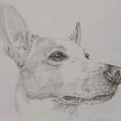 Friends dog Snuit drawing. Drawing project by dinyokkerse - 03.01.2021