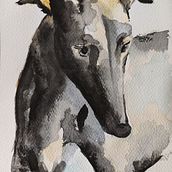Greyhound. Watercolor Painting project by aleksandra_mz - 03.01.2021