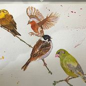 Birds on a branch. Watercolor Painting project by John Knapton - 03.01.2021