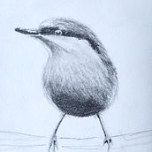 Proyecto final. Traditional illustration project by Sandra Trejo - 03.02.2021
