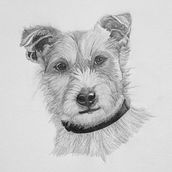 Graphite drawings of animals. Artistic Drawing, Pencil Drawing, and Realistic Drawing project by Marj Handog - 02.19.2021