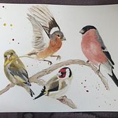 My project in Artistic Watercolor Techniques for Illustrating Birds course. Watercolor Painting project by ut52zny56i - 04.07.2021