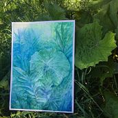 Botanical watercolors Ein Projekt aus dem Bereich Aquarellmalerei, Traditionelle Illustration und Bildende Künste von Helena Michel - 05.03.2021