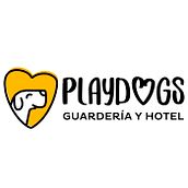 SPOT PUBLICITARIO PLAYDOGS GUARDERIA CANINA - Premio Garra Creativa en la categoría Mejor Spot Publicitario. Un proyecto de Br, ing e Identidad, Cop, writing, Creatividad, Diseño para Redes Sociales y Publicidad de Alejandra Castro - 28.05.2019