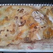 My project :- A Creative Exploration course. Un progetto di Illustrazione naturalistica, Illustrazione tradizionale, Pittura, Disegno, Pittura ad acquerello e Illustrazione con inchiostro di Suzanne Linch - 26.03.2021