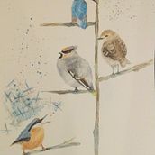 Nuthatch with something to say. Watercolor Painting project by Tuula Jane - 03.06.2021
