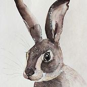 Rabbit. Watercolor Painting project by aleksandra_mz - 03.06.2021