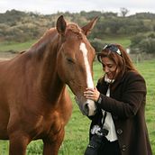 EXPOSIÇÃO FOTOGRÁFICA CAVALO LUSITANO Ein Projekt aus dem Bereich Dokumentarfotografie von Ana Lúcia Teixeira - 06.03.2021