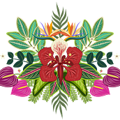 Flor de Flamboyán - Ilustración para patrones . Digital Illustration project by Shantall Alam - 11.07.2020