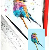 Lilac-Breasted Roller, that I photographed in one of my trips. Projekt z dziedziny Sztuki piękne użytkownika Eva Perendreu - 07.03.2021