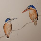 Mon projet du cours : Aquarelle artistique pour l'illustration d'oiseaux Ein Projekt aus dem Bereich Aquarellmalerei von Maud Panis - 19.03.2021