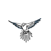 Proyecto Libres Aves. Traditional illustration project by Isaac Ortega - 12.26.2020