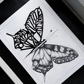 CalligraphyButterfly. Calligraph, Creativit, Digital Design, Digital Drawing, Digital Illustration, Digital Lettering, Sketchbook, Sketching, and Tattoo Design project by Alex Graf - 03.08.2021