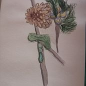Mi Proyecto del curso: Cuaderno botánico en acuarela . % Mariana Quesada Rodríguez tarafından hazırlanan Çizim projesi - 03.08.2021