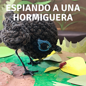 Stop motion de una pájara hormiguera en ganchillo. Animation, 3D Animation, Art To, s, Arts, Crafts, Embroider, and Crochet project by Carolina Salazar Rincón - 03.09.2021