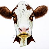 Cow. Drawing, and Portrait Drawing project by angelicateriksson - 03.09.2021