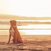 Mi Proyecto del curso: Creación y edición de contenido para Instagram Stories. Redes sociais projeto de Araceli Carranza Ruiz - 10.03.2021