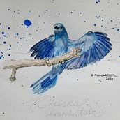 Kraska. Watercolor Painting project by b.piwowarczyk - 03.09.2021