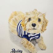 Bailey. Un proyecto de Bellas Artes, Dibujo artístico y Dibujo realista de Ana María Gaviria Poveda - 09.03.2021