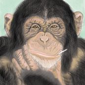 animals. Realistic Drawing, and Traditional illustration project by José antonio Brito peña - 02.06.2021