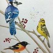 My project in Artistic Watercolor Techniques for Illustrating Birds course. Watercolor Painting project by jsferraro3 - 03.10.2021