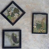 Meu projeto do curso: Técnicas básicas para prensar flores e plantas. Un progetto di Design di lojaver - 10.03.2021