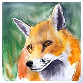 Watercolour animals. Watercolor Painting project by Nadine Buntenbeck - 03.11.2021