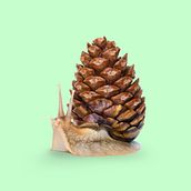 Mi Proyecto del curso: Creación de imágenes Pop Art con objetos cotidianos Ein Projekt aus dem Bereich Kreativität, Digitalfotografie und Fotomontage von pabloballes - 11.03.2021