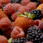Reel Alimentación- Igluuu 2021. Creativit, Video Editing, and Video project by Igluuu Studio - 02.08.2021