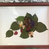 Mi Proyecto del curso: Técnicas básicas de prensado botánico. Un progetto di Artigianato, Collage e DIY di Linda Echenique - 11.03.2021