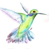 Colibrí en acuarela. Un progetto di Pittura ad acquerello di Diego Armando Martínez Osorio - 12.03.2021
