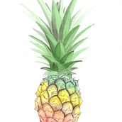 Meu projeto do curso: Ilustração botânica com aquarela. Un proyecto de Ilustración botánica de Jose Rosangelo Silva - 12.03.2021