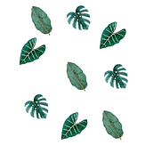 Mi Proyecto del curso: Acuarela botánica para estampados. Un progetto di Pattern design di Silvina Yaffe - 02.04.2021