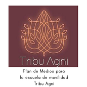 Desarrollo de un plan de medios digitales para una escuela de movilidad corporal. Marketing, Content Marketing, and Digital Marketing project by Maxwell85 - 03.13.2021