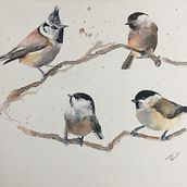 My project in Artistic Watercolor Techniques for Illustrating Birds course. Traditional illustration, and Watercolor Painting project by rob eadie - 03.13.2021