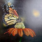 Mariposa Nocturna - Acrilcos sobre madera. Acr, and lic Painting project by Mariela Valdivia - 03.13.2021