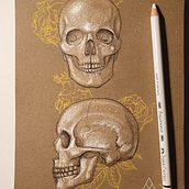 Skull study. Drawing project by Annamari Fekete - 03.13.2021