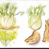 Fennel study Ein Projekt aus dem Bereich Naturalistische Illustration, Skizzenentwurf und Aquarellmalerei von Clin Doeil Scrap - 13.03.2021