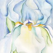 Portfolio Acuarela Botánica. Watercolor Painting project by Nyajo Gil - 03.14.2021