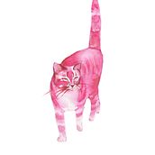 Ilustraciones de animales acuarela. Watercolor Painting, and Photo Retouching project by Nyajo Gil - 03.14.2021