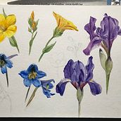 Field flowers. Un proyecto de Ilustración botánica de Irina Kaminker - 14.03.2021