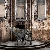 My project in Secrets of Photomontage and Creative Retouching course. Photomontage project by colamail66 - 03.14.2021
